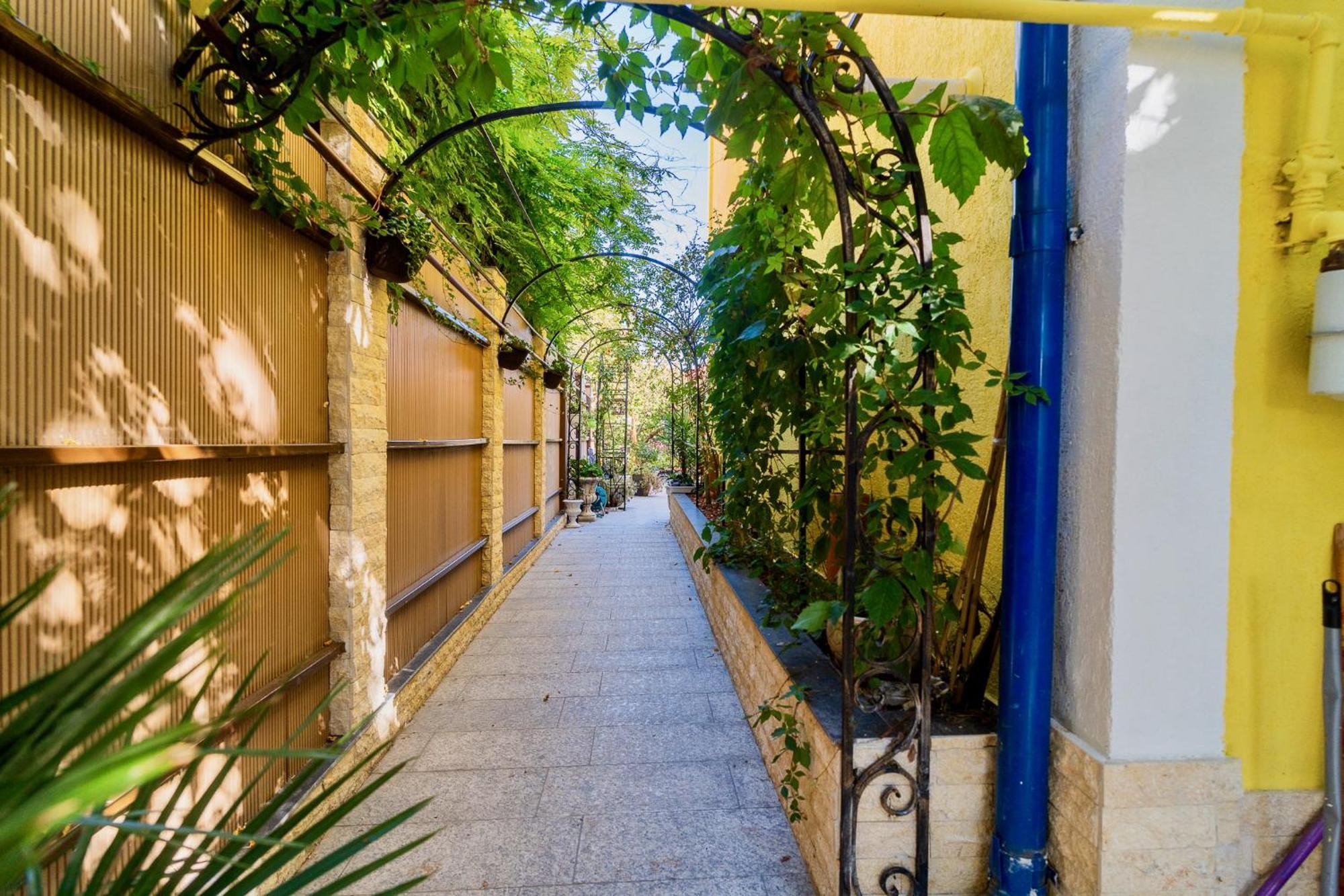 Luxurious Villa With Lush Garden And Huge Terrace Near Herastrau Park Bukarest Eksteriør billede